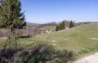 🌿 Teren Intravilan 3.791 mp | Priveliște Panoramică Superbă | Poiana Mărului - 7