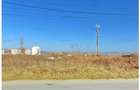 Teren industrial deosebit Fagaras - 3