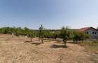 0% Comision !!  CASA PODUL BROSTENI - ARGES - 10