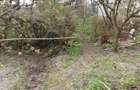 Casa 3 camere libera la vanzare zona Avram Iancu - 12