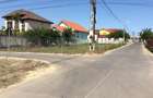 Teren + proiect Palazu Mare - Corneliu Baba - 4
