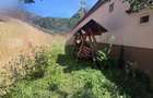 Casa 2 camere libera la vanzare RASNOV - 12