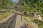 PURCARENI – 2 CASE , MULTIPLE POSIBILITATI | 533 mp | 0% comision