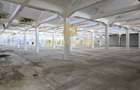 Platforma Industriala-8 ha -Fabrica-Hale Productie-21.500 mp - 12