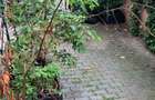 Apartament cu 3 camere,gradina,parcare,zona Campului-Manastur - 10