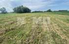 Teren Extravilan | 23 Ari | Satu Mare | Suceava - 4