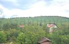 Casa de inchiriat cu 5 dormitoare in zona Gheorghe Doja - 14