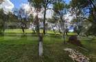 Casa 3 camere, 55 mp, teren 23.000 mp, zona pitoreasca-Poiana Marului - 16