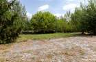 Teren intravilan Prelungirea Ghencea 650000 E + TVA - 6