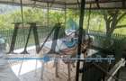 Casa locuibila de vanzare in Pianul de Sus - 7