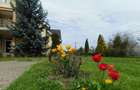 Vand casa lux,tip vila,Sangeorgiu de Mures,zona Apollo ,teren generos de 2200 mp - 2