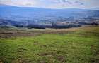 TEREN INTRAVILAN ,17.350 mp , in zona BORHANCI - SOPOR - 2