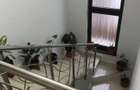Casă Individuală P+E | 5 Camere | 150 mp Utili | Teren 300 mp - 7