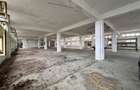 Hala, spatiu comercial, vad, de la 423mp la 1744mp, Vama Albita - 27