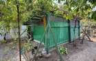 Casa 70 mp, 1700 mp teren, sat Tarnava - 5