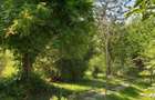 Snagov  Ultimul Refugiu la Lac: Proprietate Rara cu Priveliște de Poveste - 8