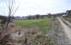 Teren 3,500mp Moara / Strada Pprincipala - 16