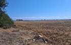 EXCLUSIVITATE! TEREN EXTRAVILAN -10.000 mp – COSTINEȘTI, SCHITU, ZONA RADAR