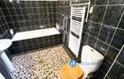 Inchiriere apartament 5 camere  in vila Romana - 11