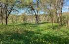 Vand teren intravilan in Albesti de Muscel