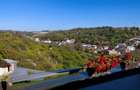 Apartament 6 camere și terasă cu vedere spre Grădina Botanică - 3