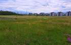 Teren Intravilan 2000mp-Turnisor (posibilitate 5000mp) - 6