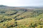 Teren Intravilan - Amplasare Unica - 34