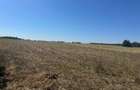 Exclusiv ! TUZLA - teren 10.000 mp cu deschidere 37 mp (Cod E8) - 10