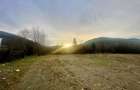 TEREN INTRAVILAN 2,26 HA | SUCEVITA | - 1