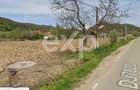 Teren intravilan 21.000 mp de vânzare – Suseni, Comuna Bogați, Județul Argeș - 11