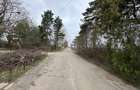 Teren intravilan Mogosesti | Giurgiu | 370.000mp | Adunatii Copaceni - 3