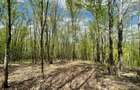 TEREN EXTRAVILAN | 103.000mp | BALANACA-GROSI | PASUNE | PASUNE IMPADURITA | BIH - 6