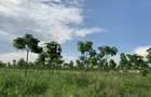 Loturi de teren pentru constructii de case in Paradise Valey - 1