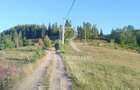 Teren Intravilan | 3.000 mp | Gârda de Sus | Alba | - 3