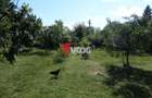 Teren intravilan | 2.810 mp|18ml|Zona Fratelia| - 13