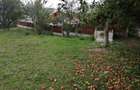Vila cu gradina, foisor, teren 1.029 mp si aer de Breaza! - 22