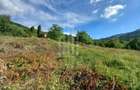 Teren în Fântânele – 3.673 mp, pârâu si cadru natural  deosebit - 12