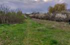 Teren Topoloveni - 3670 mp - langa padure, aproape de Centrul orasului - 1
