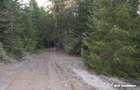Eco Retreat Land in Apuseni Romania - Poiana Horea - 17