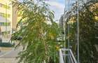 Apartament 2 camere Popesti Leordeni - Biruintei - Metrou Berceni - 11