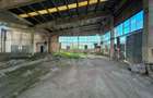 HALA INDUSTRIALA// PLATFORMA FOSTA FABRICA DE CARAMIDA PLEASA - 2