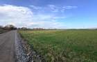 Teren Extravilan 15.000 mp Prejmer - 3