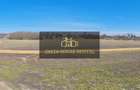 Teren Intravilan Vânătorii Mici - 5Ha / PUZ Aprobat - 6