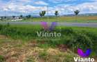 Oportunitate Teren Intravilan 9000mp-Turnisor - 2