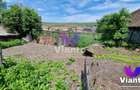 Casa Individuala 4 Camere cu Teren 2984 mp Sat Nou-Rosia - 16