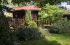 CASUTA DIN POVESTI/CURTE 1100MP/GRADINA MAGICA/SAUNA/PISCINA/SNAGOV - 50