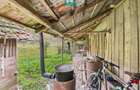 Casă renovată în localitatea Lazuri, Arad - 22