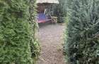 7 Noiembrie, casa fb. cu 5 camere, 704 mp teren - 5