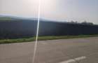Teren extravilan, 9300mp, 55ml deschidere la drum, Satu Mare, Radauti