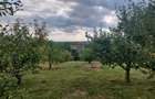 Vanzare - vilă cu 6 camere, teren 3900 mp,  Vacaresti,  Dambovita